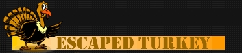 Escaped Turkey Server Hosting